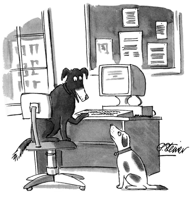 Cartoon of a black dog sitting at a desk using a computer, with a smaller dog looking up, depicting a humorous take on e-commerce and legal compliance in a business setting.